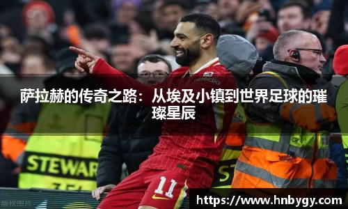 IM电竞官方网站